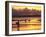 Surfers at Sunset, Gold Coast, Queensland, Australia-David Wall-Framed Photographic Print