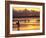 Surfers at Sunset, Gold Coast, Queensland, Australia-David Wall-Framed Photographic Print