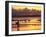 Surfers at Sunset, Gold Coast, Queensland, Australia-David Wall-Framed Photographic Print