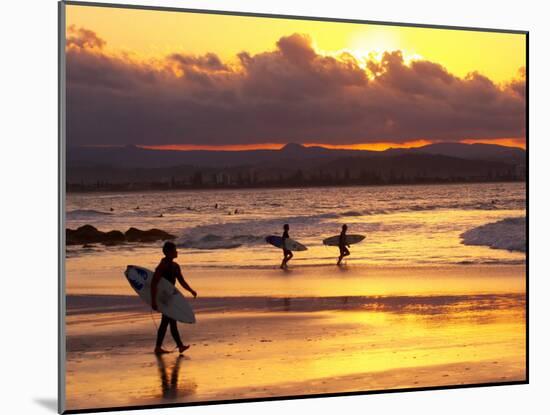 Surfers at Sunset, Gold Coast, Queensland, Australia-David Wall-Mounted Photographic Print