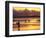 Surfers at Sunset, Gold Coast, Queensland, Australia-David Wall-Framed Photographic Print