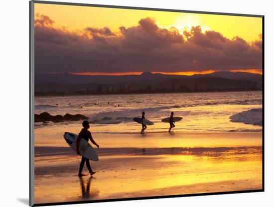 Surfers at Sunset, Gold Coast, Queensland, Australia-David Wall-Mounted Photographic Print