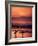 Surfers at Sunset, Oahu, Hawaii-Bill Romerhaus-Framed Photographic Print