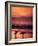 Surfers at Sunset, Oahu, Hawaii-Bill Romerhaus-Framed Photographic Print