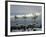 Surfers Head into the Surf at Mancora on the Northern Coast of Peru-Andrew Watson-Framed Photographic Print