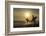 Surfers on Bloubergstrand at sunset, Cape Town, Western Cape, South Africa, Africa-Ian Trower-Framed Photographic Print