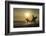 Surfers on Bloubergstrand at sunset, Cape Town, Western Cape, South Africa, Africa-Ian Trower-Framed Photographic Print