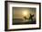 Surfers on Bloubergstrand at sunset, Cape Town, Western Cape, South Africa, Africa-Ian Trower-Framed Photographic Print