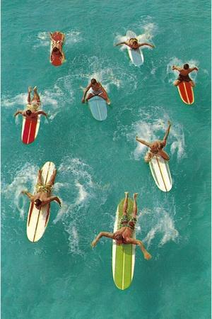 Surfing & Prints, Art: Wall Posters Paintings