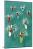 Surfers Paddling on Multi-Colored Boards, from Above-null-Mounted Art Print