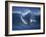 Surfers, Sunset Beach, Oahu, Hawaii-George Silk-Framed Photographic Print