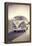 Surfers Vintage VW Bus-Edward M. Fielding-Framed Premier Image Canvas