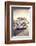 Surfers Vintage VW Bus-Edward M. Fielding-Framed Photographic Print