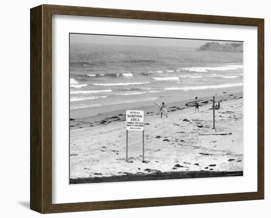 Surfers Walking to Water Behind Sign Reading "Official Surfing Area"-Allan Grant-Framed Photographic Print