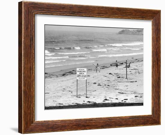 Surfers Walking to Water Behind Sign Reading "Official Surfing Area"-Allan Grant-Framed Photographic Print