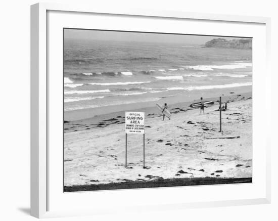 Surfers Walking to Water Behind Sign Reading "Official Surfing Area"-Allan Grant-Framed Photographic Print