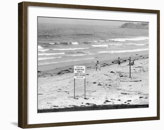 Surfers Walking to Water Behind Sign Reading "Official Surfing Area"-Allan Grant-Framed Photographic Print