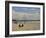 Surfers with Boards on Perranporth Beach, Cornwall, England-Simon Montgomery-Framed Photographic Print