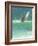 Surfing 1, Sri Lanka, 2015-Lincoln Seligman-Framed Giclee Print