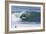 Surfing IX-Lee Peterson-Framed Photographic Print