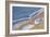 Surfing Portland Style, 2006-Liz Wright-Framed Giclee Print