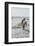 Surfing Santas, surfboards, Cocoa Beach, Florida, USA-Jim Engelbrecht-Framed Photographic Print