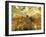 Surfing the Internet-Mehau Kulyk-Framed Photographic Print