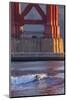 Surfing under the Golden Gate Bridge, San Francisco, California, USA-Chuck Haney-Mounted Photographic Print