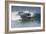 Surfing X-Lee Peterson-Framed Photographic Print