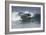 Surfing X-Lee Peterson-Framed Photographic Print