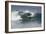 Surfing X-Lee Peterson-Framed Photographic Print