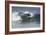 Surfing X-Lee Peterson-Framed Photographic Print