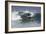 Surfing X-Lee Peterson-Framed Photographic Print