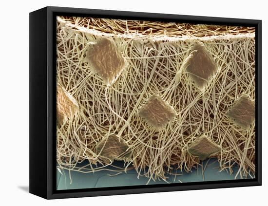 Surgical Face Mask, SEM-David McCarthy-Framed Premier Image Canvas