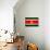 Suriname Flag Design with Wood Patterning - Flags of the World Series-Philippe Hugonnard-Art Print displayed on a wall