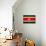 Suriname Flag Design with Wood Patterning - Flags of the World Series-Philippe Hugonnard-Mounted Art Print displayed on a wall