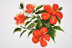 Watercolor Painting Of Lotus Flower-Surovtseva-Art Print