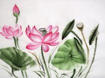 Watercolor Painting Of Lotus Flower-Surovtseva-Art Print