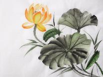 Watercolor Painting Of Yellow Lotus Flower-Surovtseva-Framed Art Print