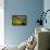 Surprise-Henri Rousseau-Framed Stretched Canvas displayed on a wall