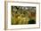 Surprise-Henri Rousseau-Framed Art Print
