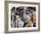 Surprise-Dan Monteavaro-Framed Giclee Print