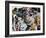 Surprise-Dan Monteavaro-Framed Giclee Print