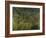 Surprised!, 1891-Henri Rousseau-Framed Giclee Print