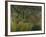 Surprised!, 1891-Henri Rousseau-Framed Giclee Print