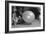 Surprised kitten 1958-Staff-Framed Photographic Print