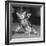 Surprised kitten 1958-Staff-Framed Photographic Print