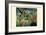 Surprised! Storm in the Forest-Henri Rousseau-Framed Art Print
