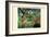 Surprised! Storm in the Forest-Henri Rousseau-Framed Art Print