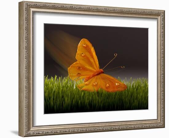 Surreal Butterfly-William Scott-Framed Art Print